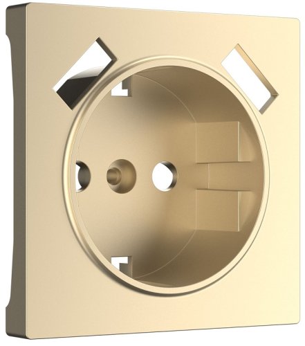 Лицевая панель Werkel для 1-м. розетки 220В+2хUSB шампань металик картинка